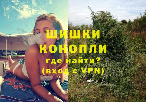 винт Арсеньев