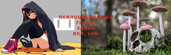 apvp Аркадак