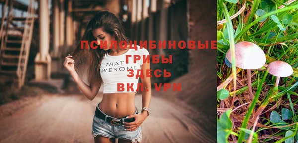 apvp Аркадак