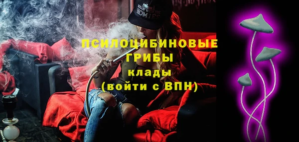 apvp Аркадак