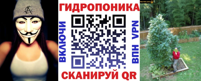 OMG как войти  Миньяр  Бошки Шишки Amnesia 